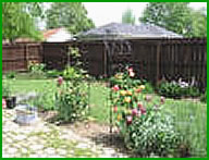 Photo of a typical backyard